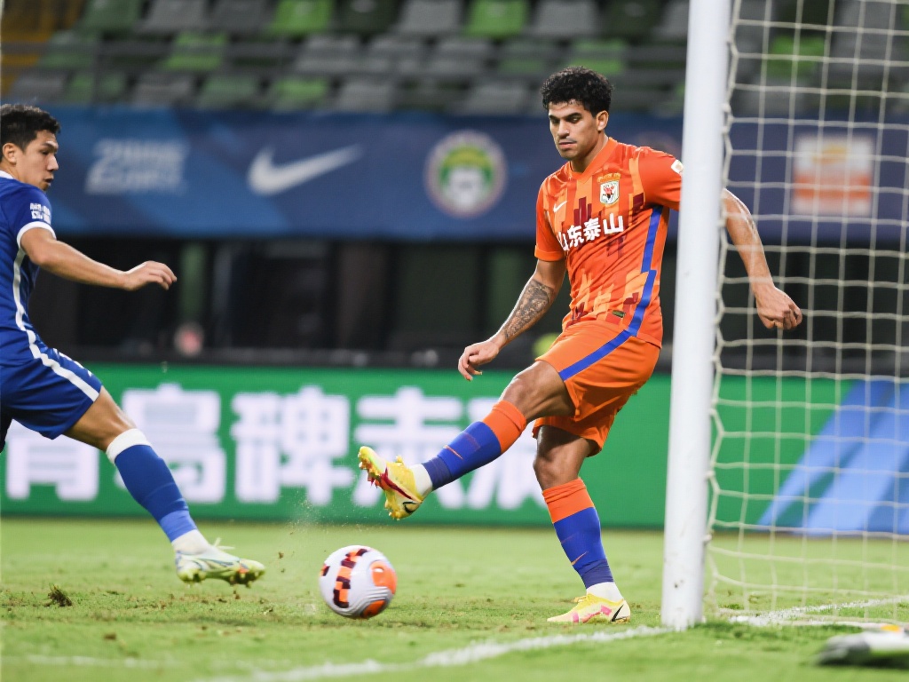 仅限于自有 仅限于自有